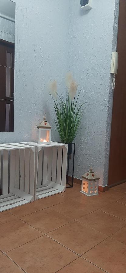皮拉Flowers Apartament公寓 外观 照片